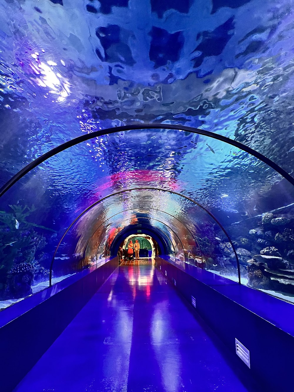 Top 25 Best Things to Do in Antalya: Attractions and Activities 15 Antalya Aquarium