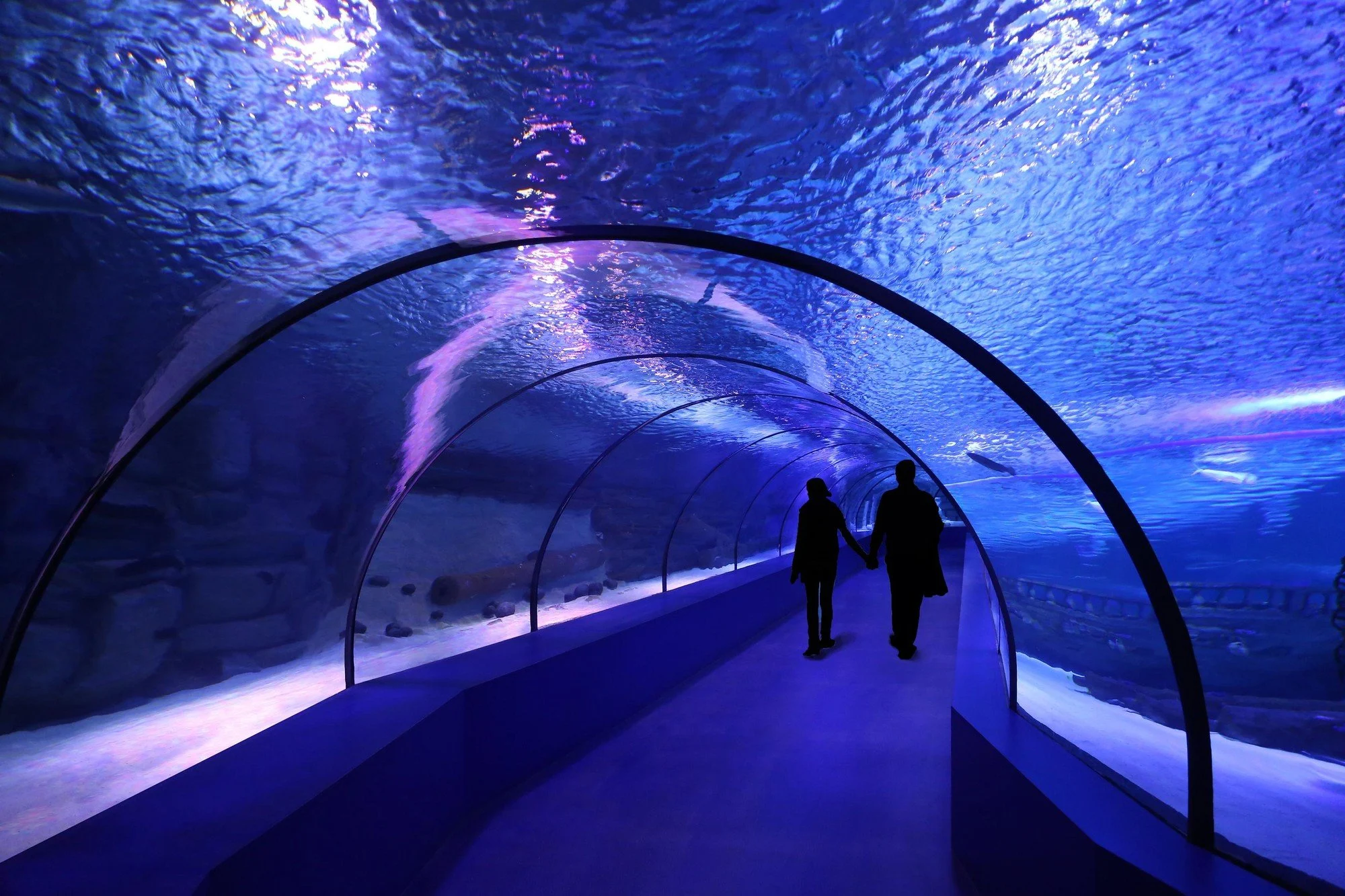 Things to Do in Lara Antalya 6 Antalya Aquarium