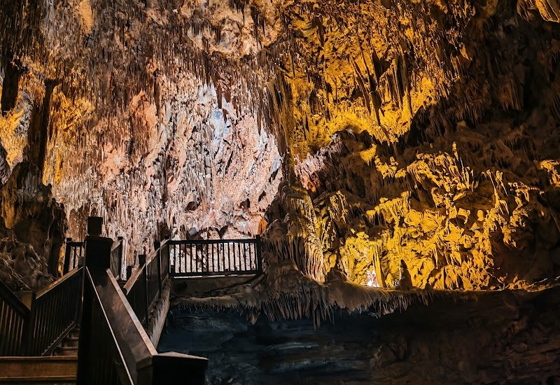 Best Things to Do in Alanya: Top Attractions and Activities 4 Things to Do in Alanya